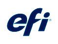 EFI procura por aquisições e parcerias para 2013